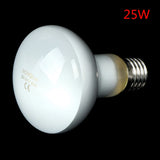 UVA Daylight Heating Bulb for Reptiles — Waterproof, 25W-100W