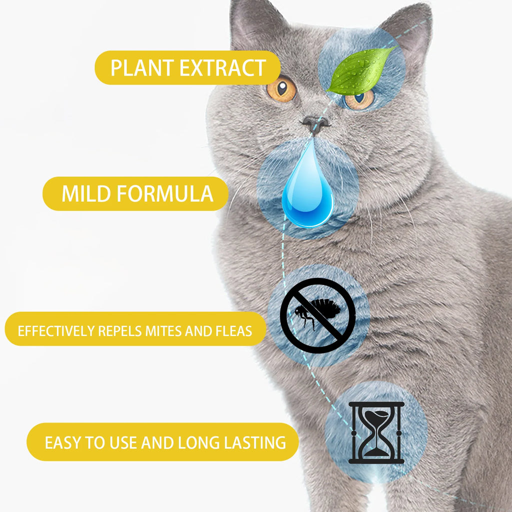 Flea & Tick Treatment Drops for Cats & Dogs — Monthly Spot Treatment