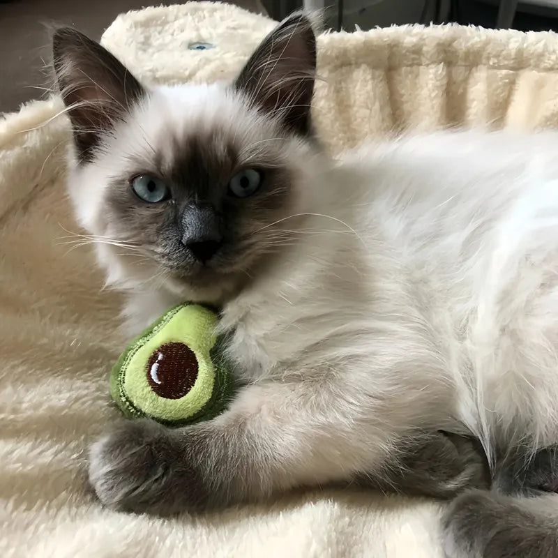 Catnip-Filled Plush Cat Toys
