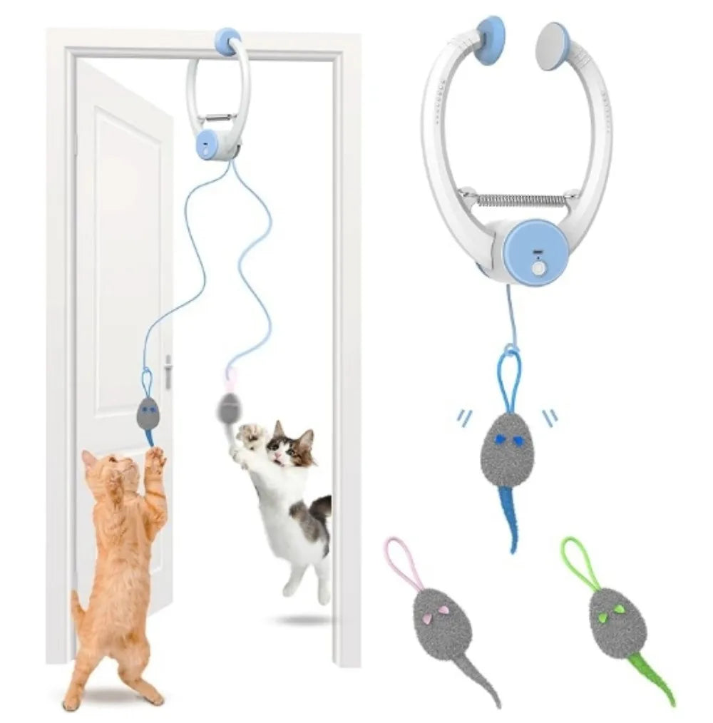 Hanging Door Swing Cat Toy with Sticky Disc
