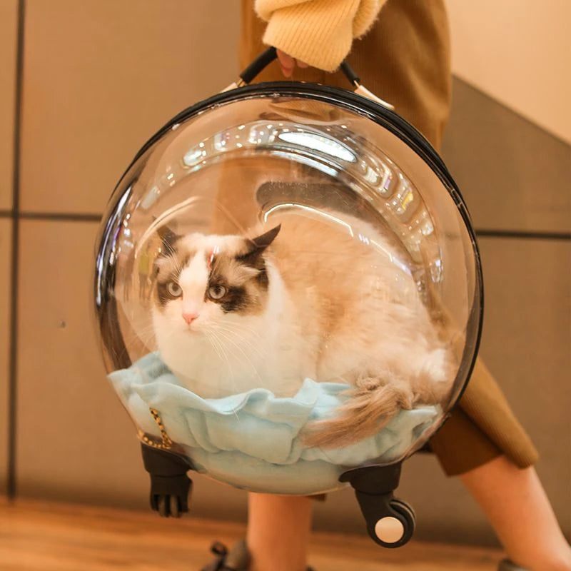 Transparent Breathable Cat Trolley Travel Case & Carrier Bag with Cat Nest for Outdoor Use