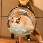 Transparent Breathable Cat Trolley Travel Case & Carrier Bag with Cat Nest for Outdoor Use