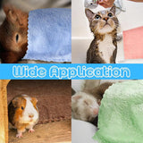 Coral Fleece Blanket Set (2 Pcs) — Soft Bedding for Small Pets