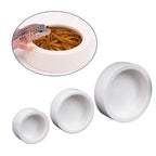 Anti-Escape Ceramic Reptile Feeder Bowl — Worm-Proof Design for Geckos & Snakes