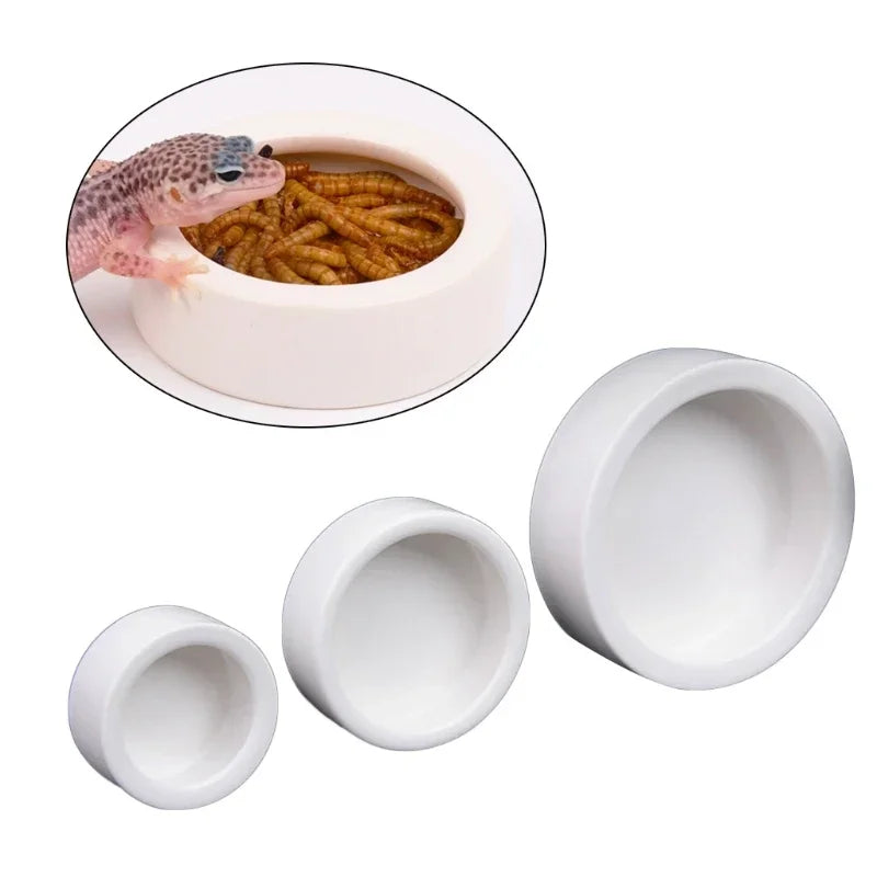 Anti-Escape Ceramic Feeder Bowl for Reptiles — Food & Water Dish, 3 Sizes
