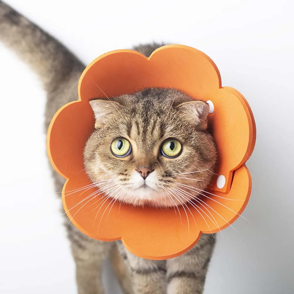 Soft Flower-Shaped Recovery Collar — Comfortable Anti-Lick Cone Alternative