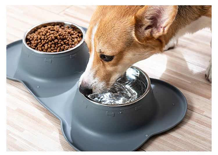 Stainless Steel Double Pet Bowl Set