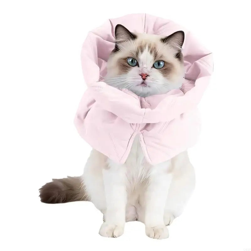 Soft Cat Recovery Collar — Adjustable Anti-Lick Neck Protector