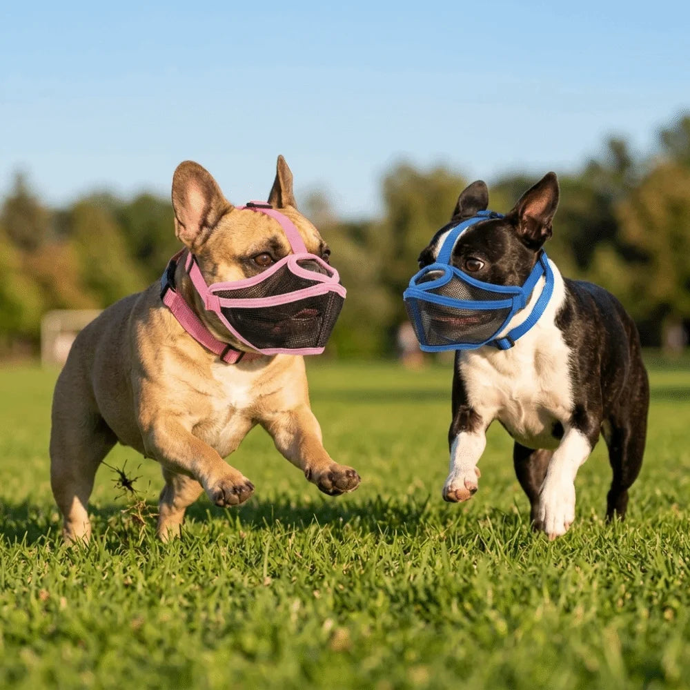 Short Snout Dog Muzzle for Flat-Faced Breeds (Lightweight, Adjustable, Flexible)