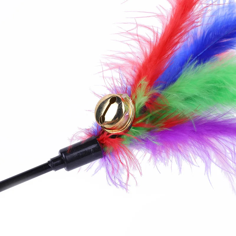 Feather & Bell Cat Teaser Wand (5-Pack)