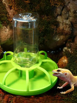 Automatic Turtle & Lizard Water Dispenser — Space-Saving Landscape Water Basin