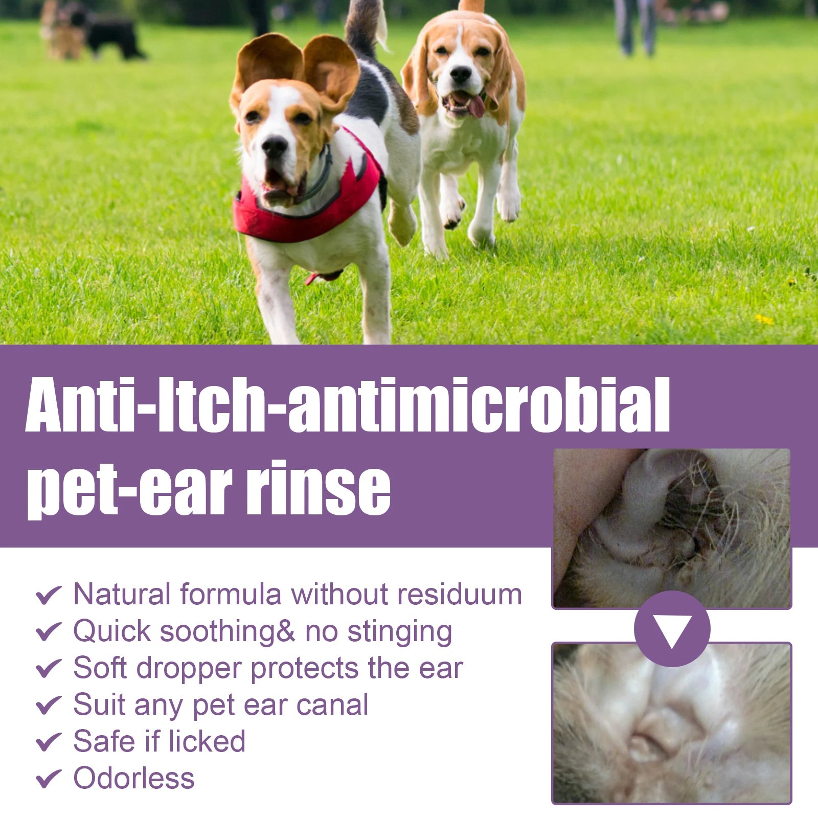 Pet Ear Cleaner Drops — Infection & Mite Control, 118ml with Cotton Swabs