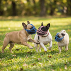 Bulldog Short-Snout Dog Muzzle (Adjustable, Flexible, Breathable)
