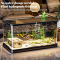 Large Transparent Aquarium Tank with Lid (Spill-Proof, Clear View)