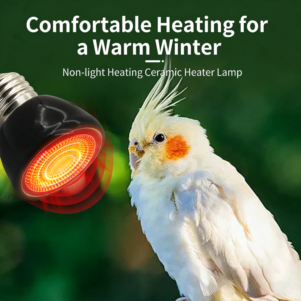 Ceramic Infrared Heat Lamp — No-Light Nighttime Heat for Lizards & Snakes, 25W-100W