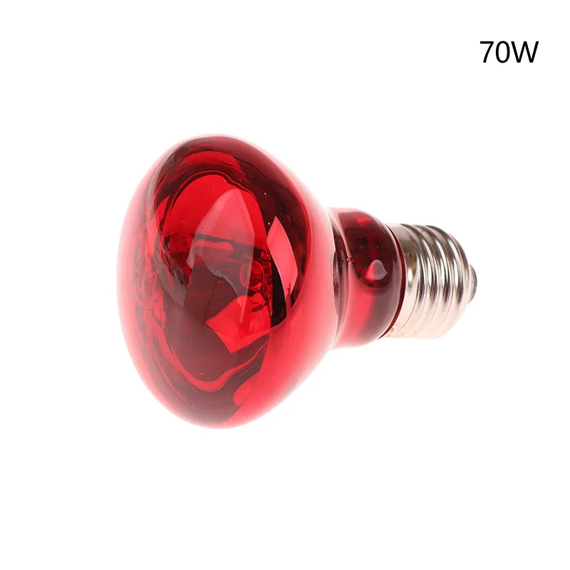 E27 Infrared Basking Bulb — Day & Night Heat Light, 25W–100W