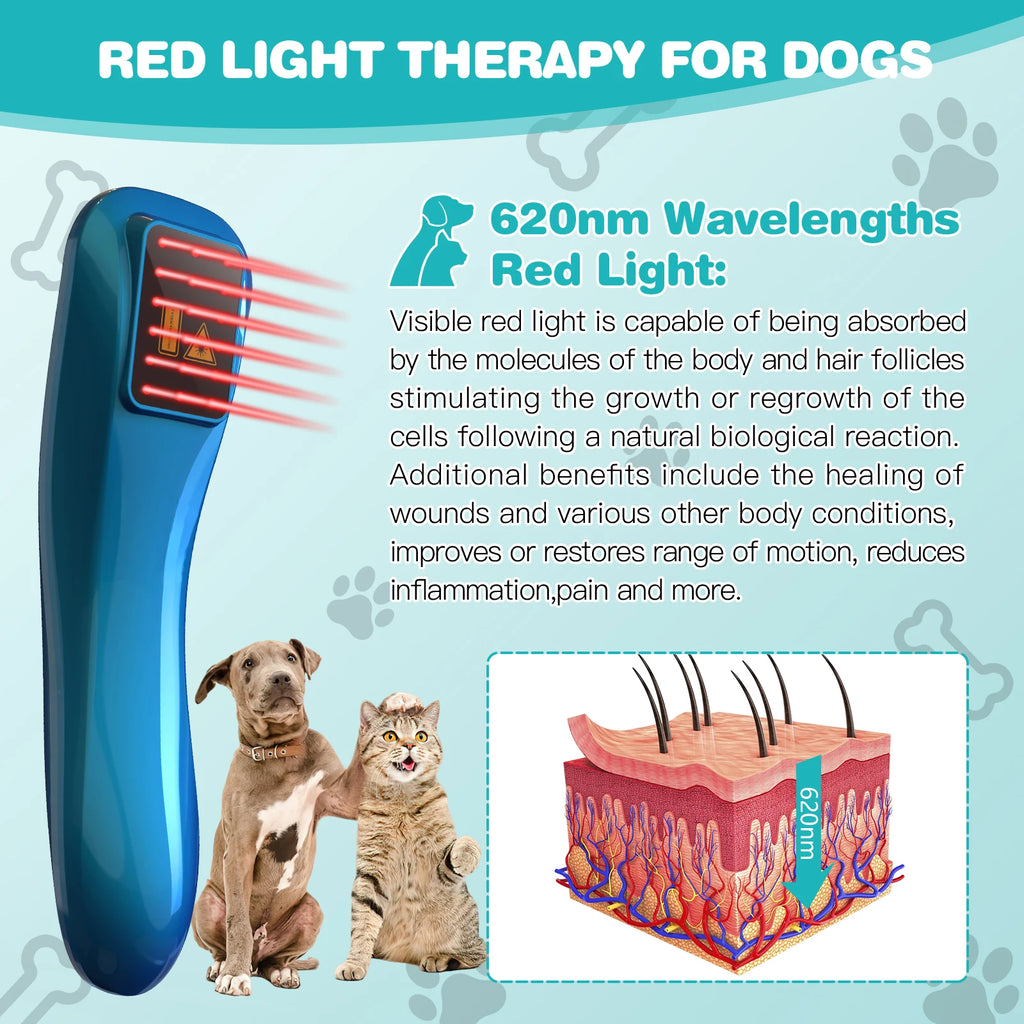 Portable Red Light Laser Therapy Device for Pets