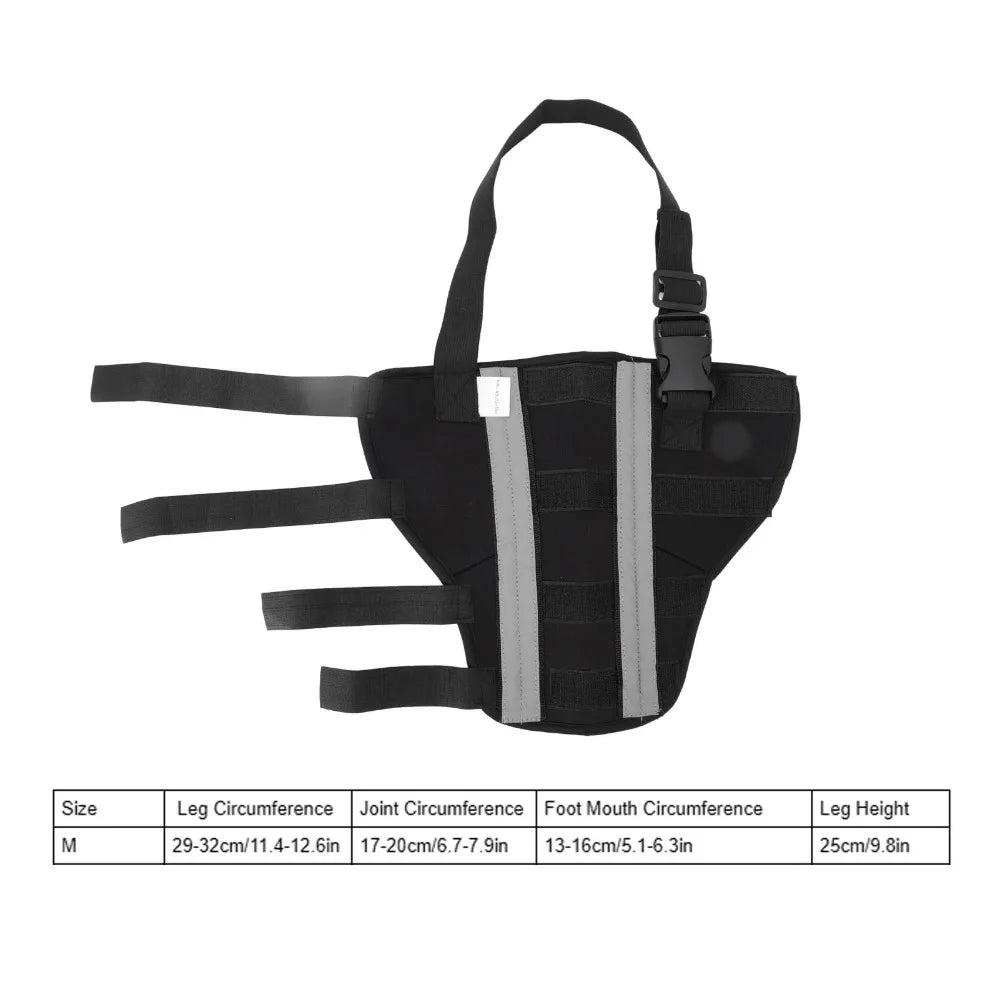 Adjustable Dog Hind Leg Brace (Joint Support, Breathable, XXS to L)