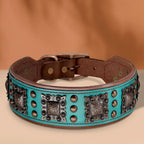 Genuine Leather Spiked Dog Collar