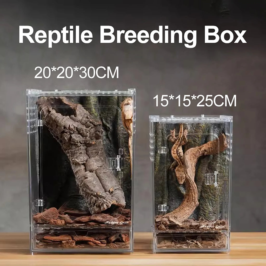 Acrylic Reptile Breeding Box — Clear Ventilated Habitat for Spiders & Insects
