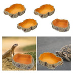 Resin Rock Terrarium Bowl — Natural-Look Feeder Dish, XS Size