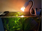 UVA+UVB Full Spectrum Basking Bulb — Calcium Support for Turtles & Tortoises, 220V