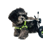 Metal 4-Wheel Dog Wheelchair for Disabled & Elderly Pets — Hind Leg Support Aid for Dogs & Cats