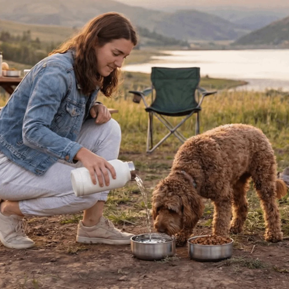 3-in-1 Stainless Steel Pet Water Bottle (Multi-Layer, Leak-Free, Detachable)