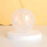 Hamster Exercise Ball — Translucent Running Ball for Rats & Hamsters