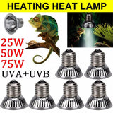 UVA+UVB Full Spectrum Reptile Basking Bulb — 25W-75W Sunlamp