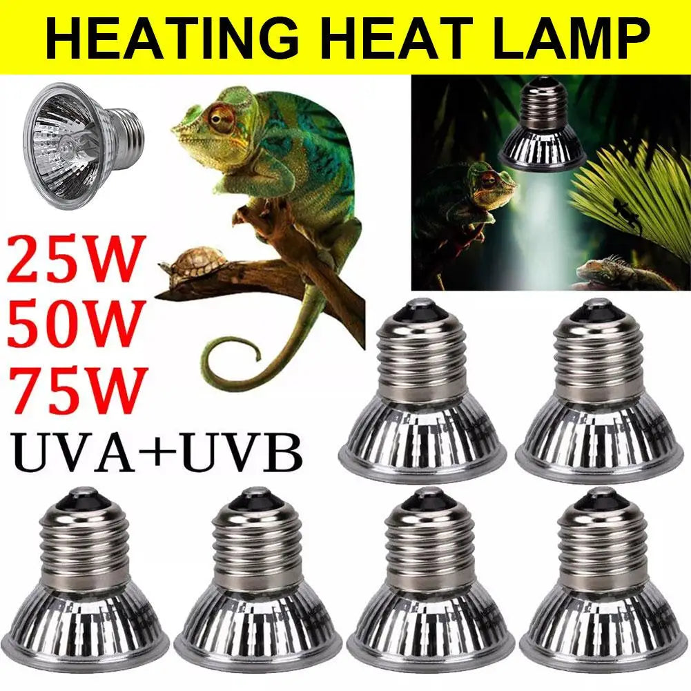 UVA+UVB Full Spectrum Reptile Basking Bulb — 25W-75W Sunlamp