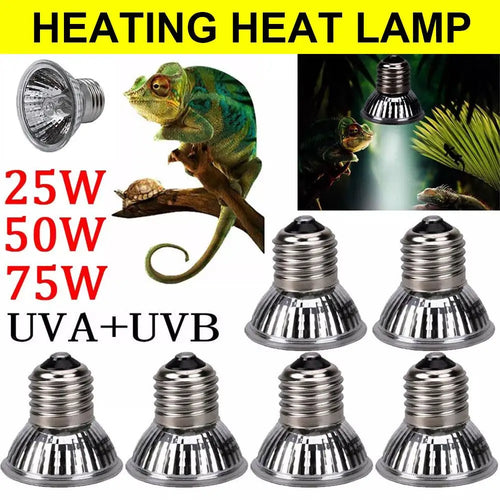 UVA+UVB Full Spectrum Reptile Basking Bulb — 25W-75W Sunlamp