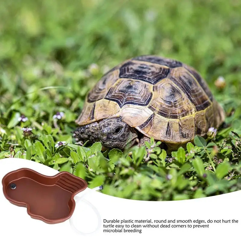River-Style Turtle Bathing Dish — Feeding Pool with Ramp & Basking Terrace