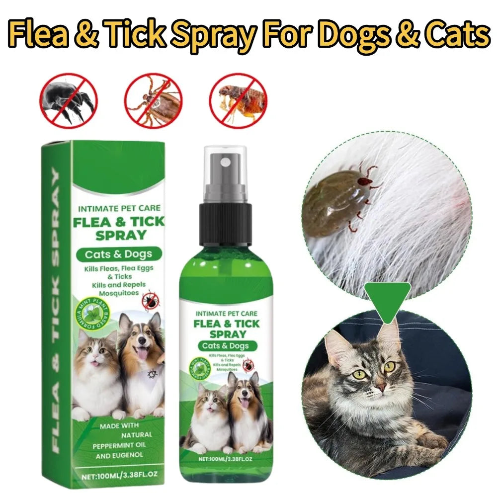 Aloe Vera Flea & Tick Spray for Dogs & Cats — 100ml Full-Coat Treatment