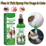 Aloe Vera Flea & Tick Spray for Dogs & Cats — 100ml Full-Coat Treatment