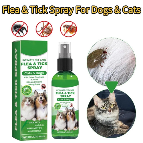 Aloe Vera Flea & Tick Spray for Dogs & Cats — 100ml Full-Coat Treatment
