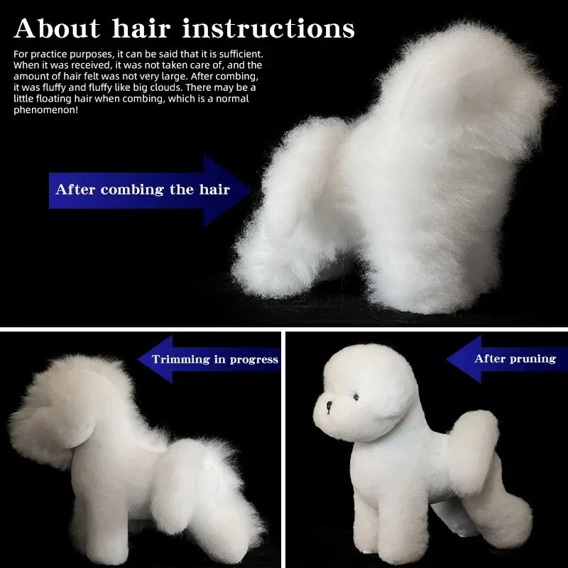 Bichon Grooming Practice Model with Wig