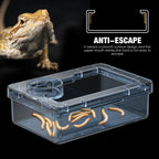 Anti-Escape Feeding & Water Bowl — Keeps Mealworms & Roaches In for Lizards & Geckos