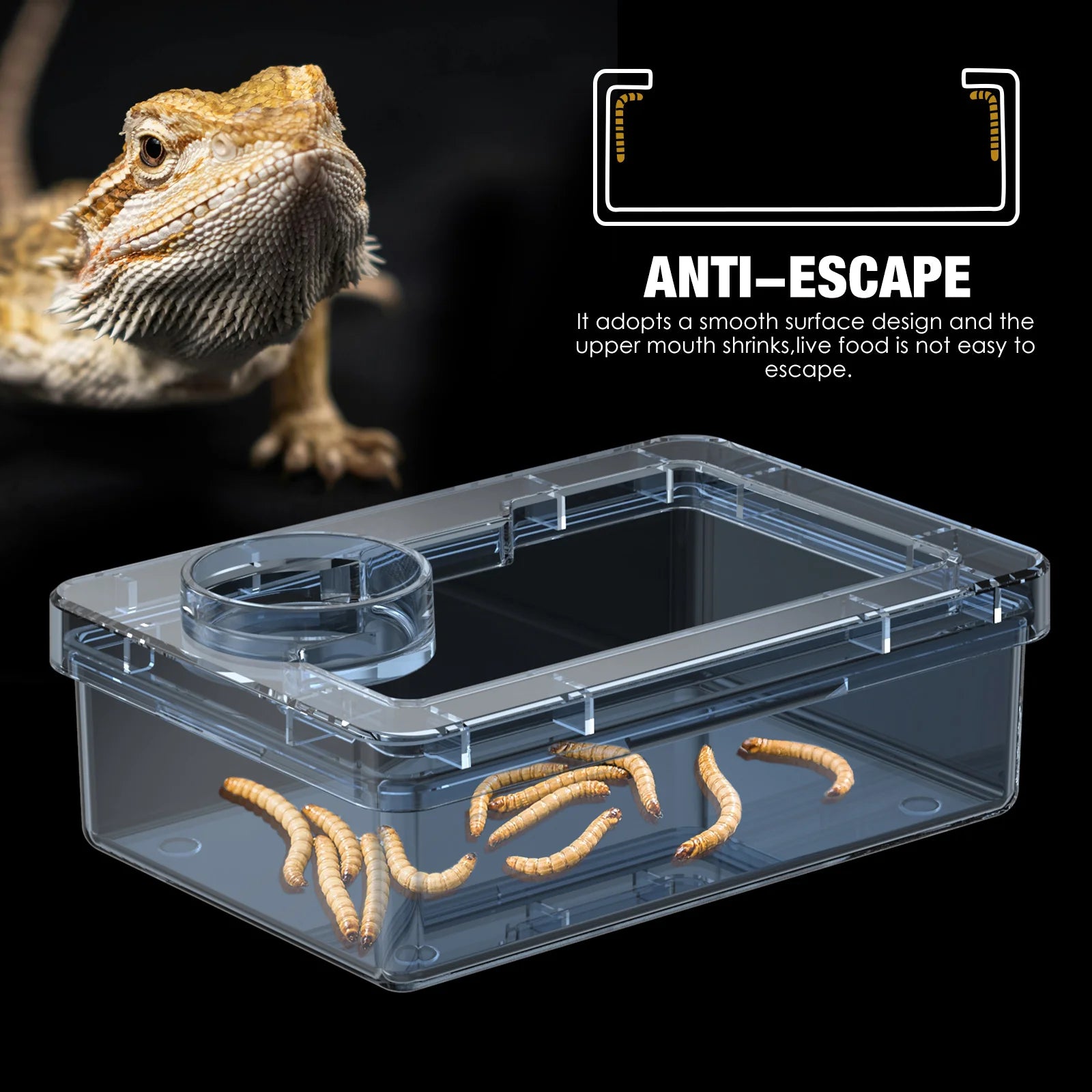 Anti-Escape Feeding & Water Bowl — Keeps Mealworms & Roaches In for Lizards & Geckos