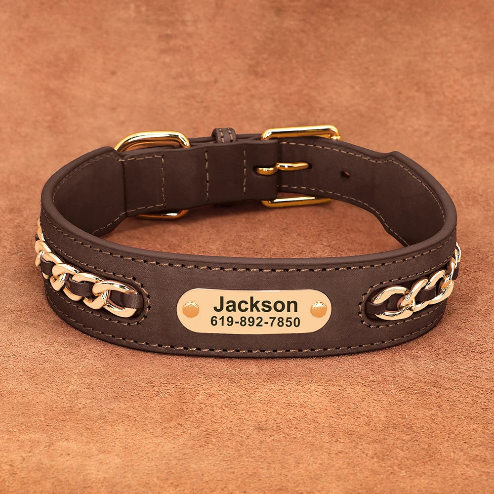 Custom Engraved Leather Dog Collar