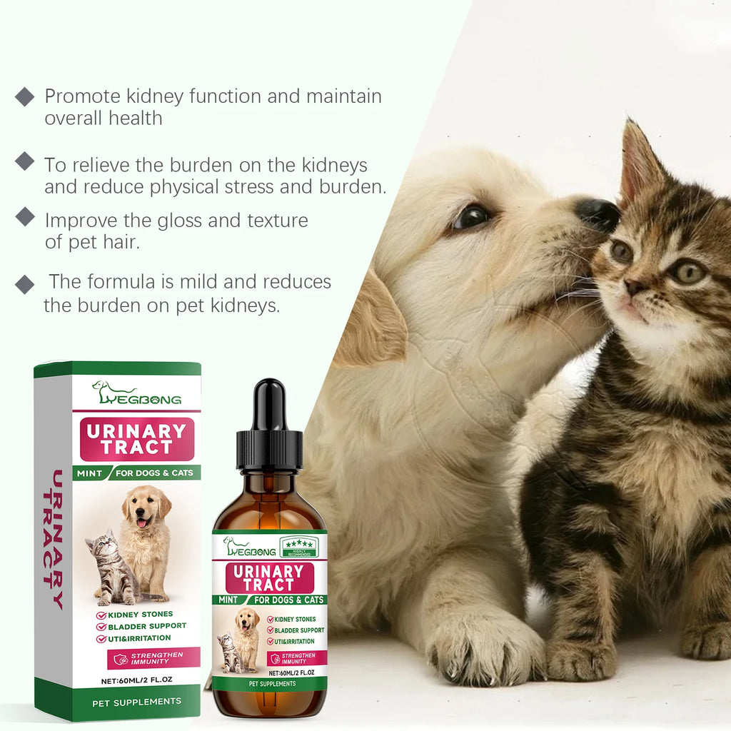 Pet Kidney Health Supplement — Gentle Vitality Support for Dogs & Cats