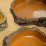 Resin Rock Terrarium Bowl — Natural-Look Feeder Dish, XS Size