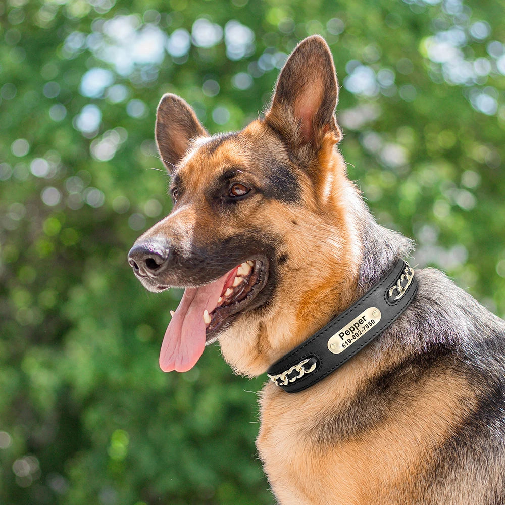 Custom Engraved Leather Dog Collar