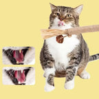 Natural Wood Knotweed Cat Teething Sticks — Sisal Rope & Raffia