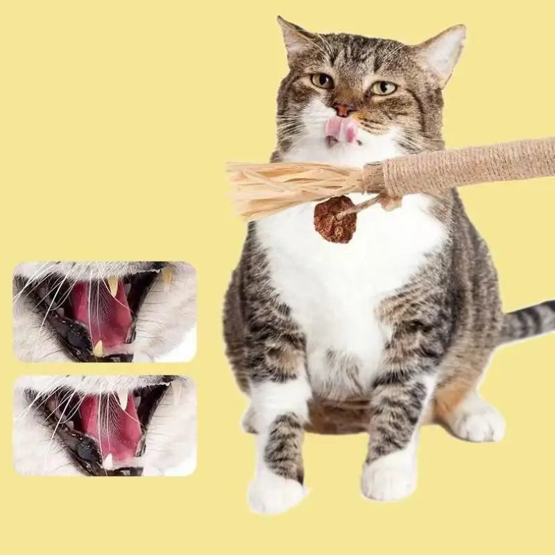 Natural Wood Knotweed Cat Teething Sticks — Sisal Rope & Raffia