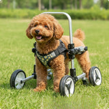 Front Leg Dog Wheelchair Padded Pet Front Leg Wheelchair Mobility Cart Comfortable Long-Lasting for Disabled Dogs