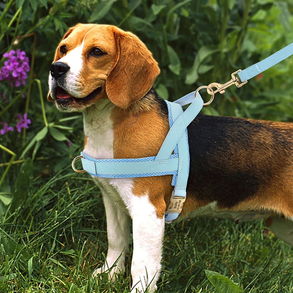 Personalized Engraved Dog Harness