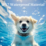 Digital Dog Training Collar (800m Waterproof Rechargeable)