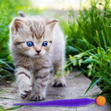 Fluffy Tail Bouncy Cat Teaser Ball — Elastic Bounce Mimics Prey
