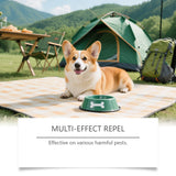 Natural Flea & Tick Repellent Spray — Whole-Body & Home Protection